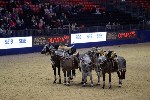 Quadrille - 00885
